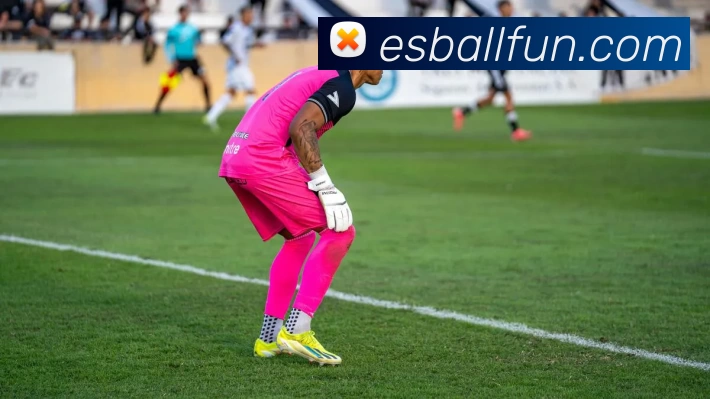 esballE世博官网APP 体育赛事宣传图